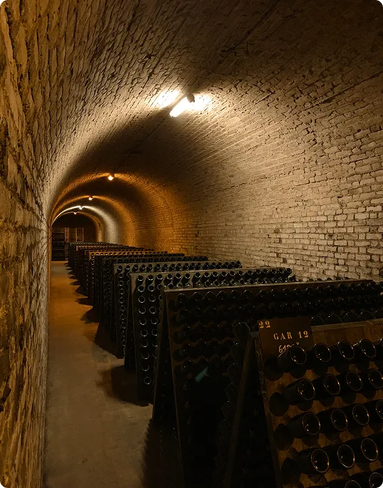 cellar